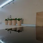 City Apartment Gotse Delchev