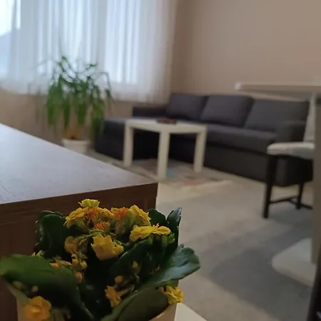 City Apartment Apartamento Gotse Delchev